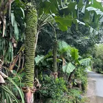 Bán gấp lô đất 1400m² Tân Uyên Bình Dương - Ảnh thu nhỏ 1