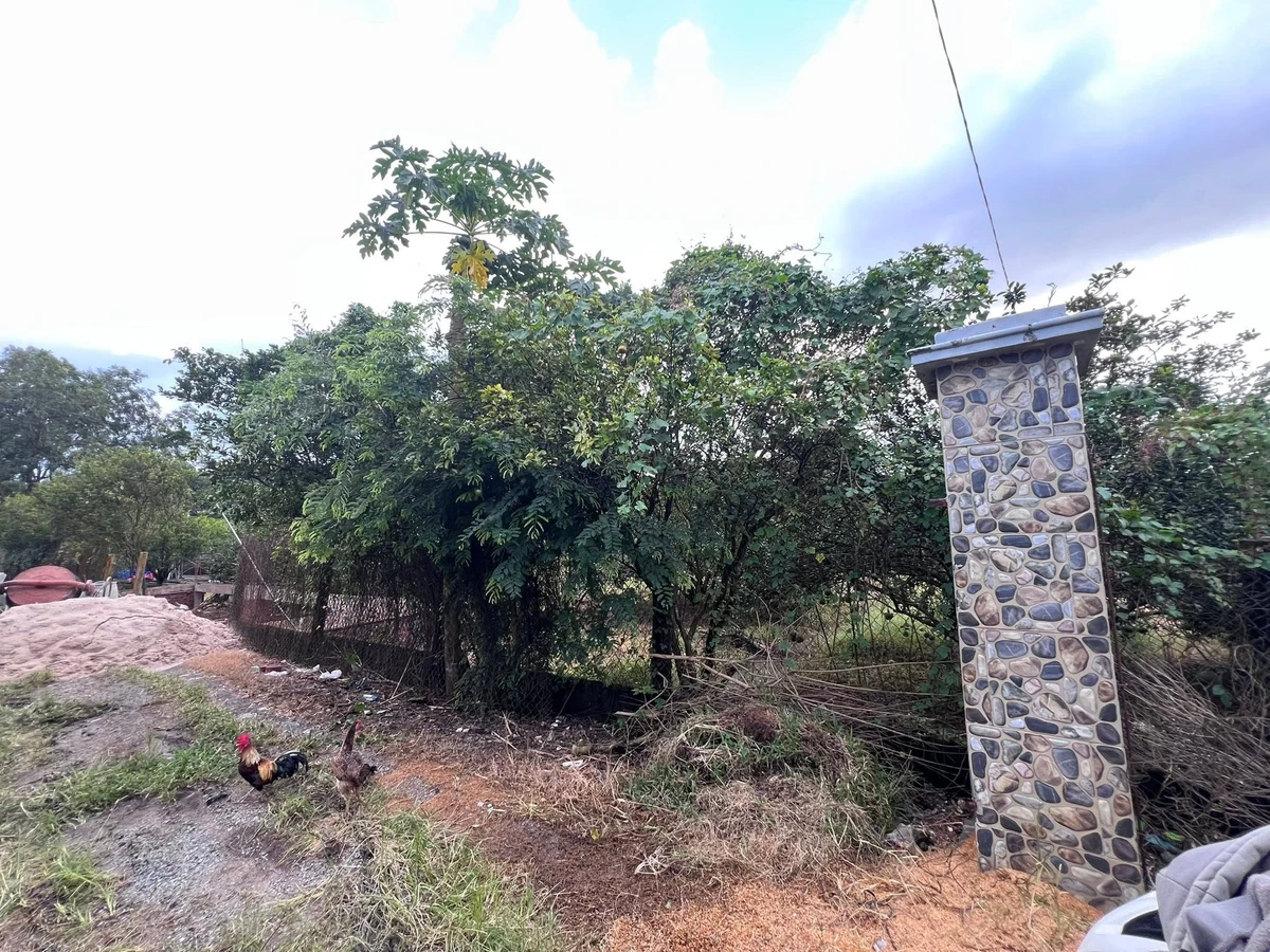 Bán đất vườn 1.172m² Tân Uyên Bình Dương 4 tỷ - Ảnh thu nhỏ 3