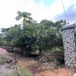 Bán đất vườn 1.172m² Tân Uyên Bình Dương 4 tỷ - Ảnh thu nhỏ 3