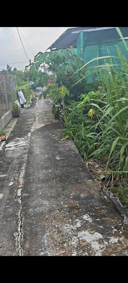 Bán lô đất 130 m² xã Long Hòa Cần Đước Long An - Ảnh thu nhỏ 3