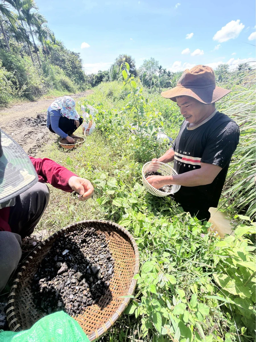 Bán 2,5 sào đất view Bến Mỹ Thuận, 1 tỷ 90 triệu - Ảnh thu nhỏ 5
