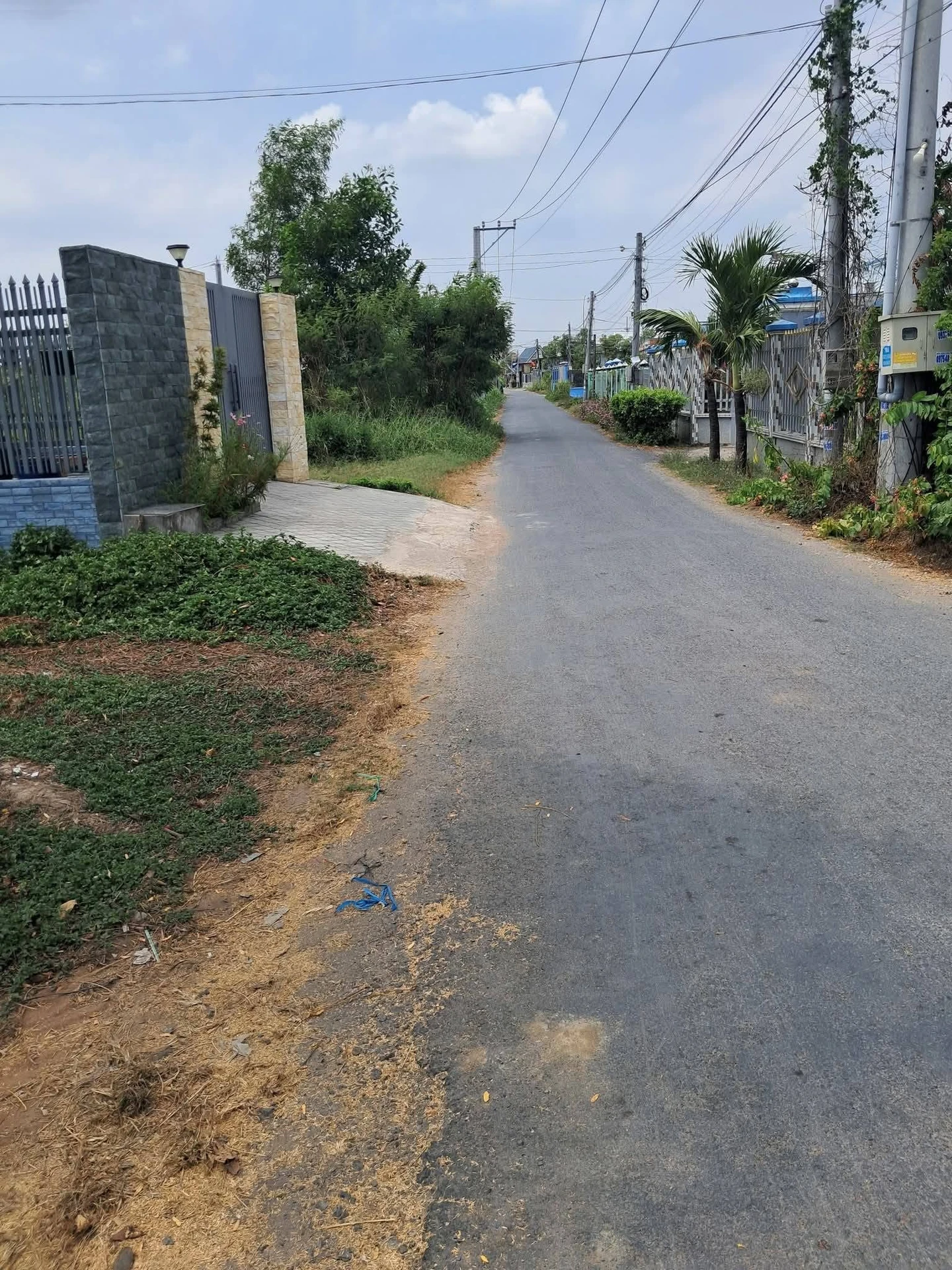 Bán đất 496m2 (7x71) xã Tân Phước, Gò Công Đông, Tiền Giang giá 900 triệu - Ảnh 1