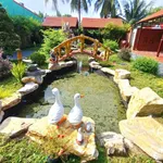 Bán quán cafe mặt tiền quốc lộ 50, 536m2, xã An Thạnh Thủy, Chợ Gạo - Ảnh thu nhỏ 5
