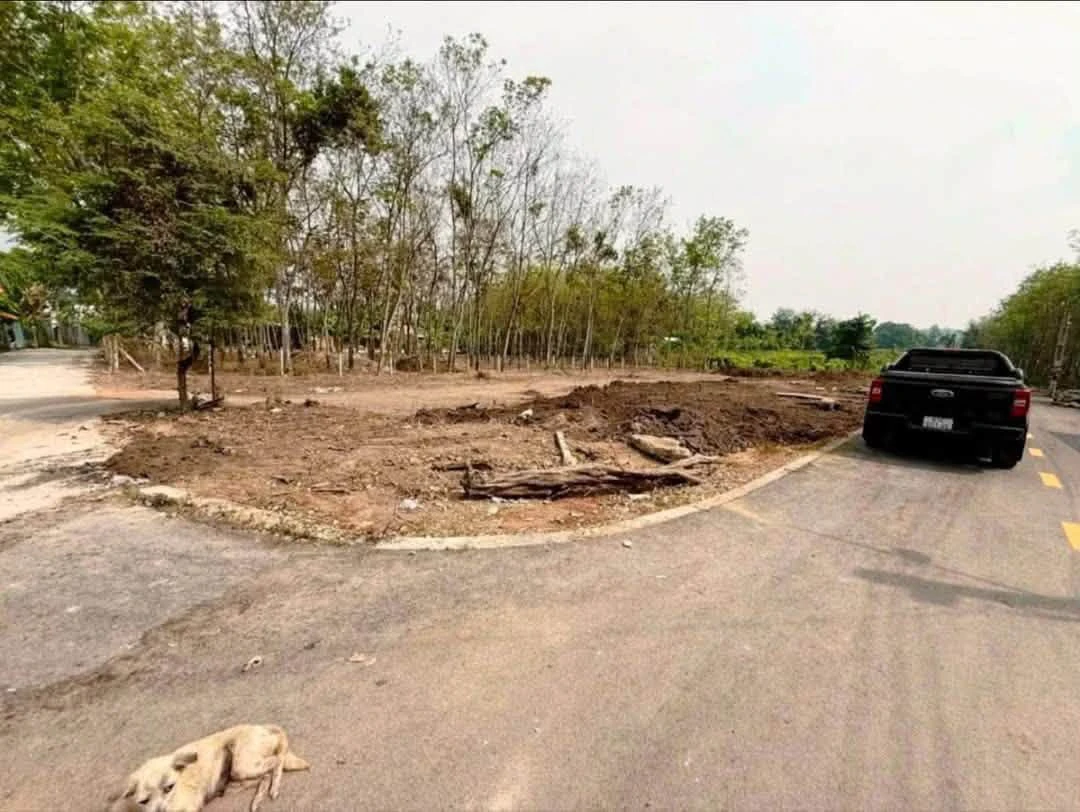 Bán lô đất thổ cư 1 sẹc ĐT748 An Điền, Phường Long Nguyên giá 1,12 tỷ - Ảnh thu nhỏ 3