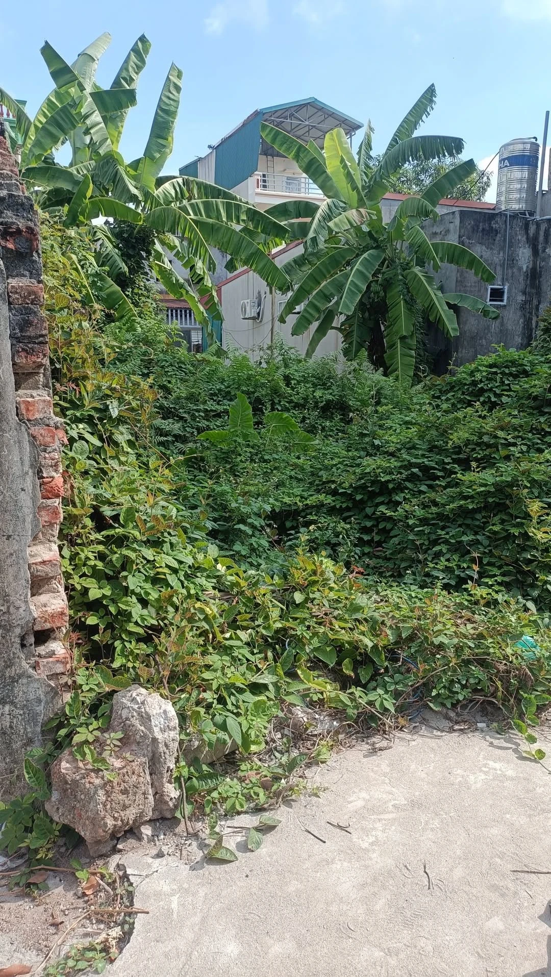 Bán đất 45m2 Kim Sơn Gia Lâm Hà Nội - Ảnh 1