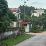 Bán lô đất 230m² trung tâm TP Chi Linh, 1 tỷ - Ảnh thu nhỏ 1