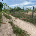 Bán đất 150m² tại Lagi, Lâm Đồng, giá 6 tỷ, tiện ích đầy đủ - Ảnh thu nhỏ 4