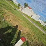 Bán đất 100m2 đường nhựa 8m Bến Lội Lại An gần Phan Thiết 2 tỷ 490 - Ảnh thu nhỏ 3