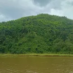 Bán lô đất rẫy view hồ 7 ha, Lâm Đồng - Ảnh thu nhỏ 5