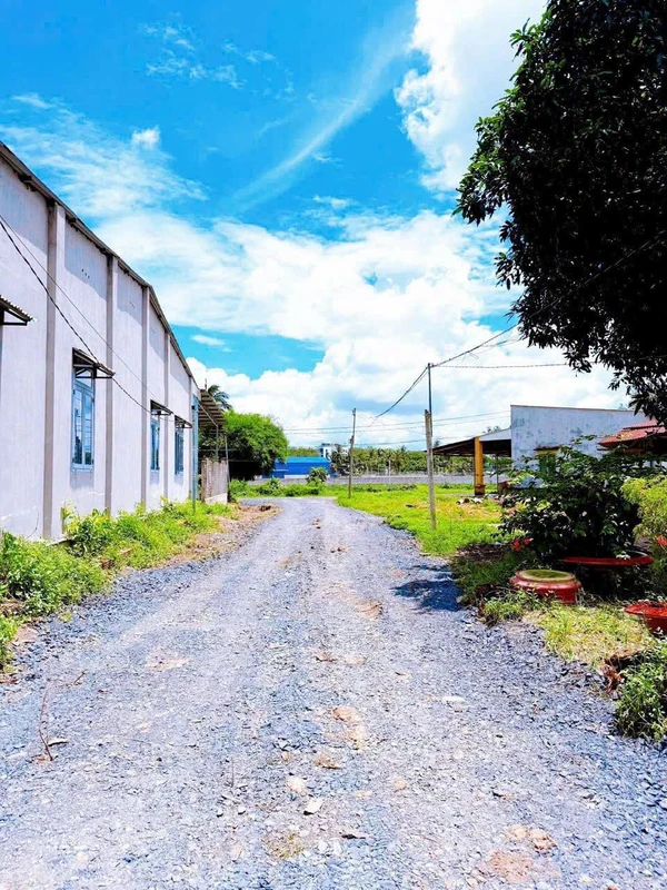 Bán nhà 1 phòng ngủ 50m² Ấp Thanh Bình, Tây Ninh