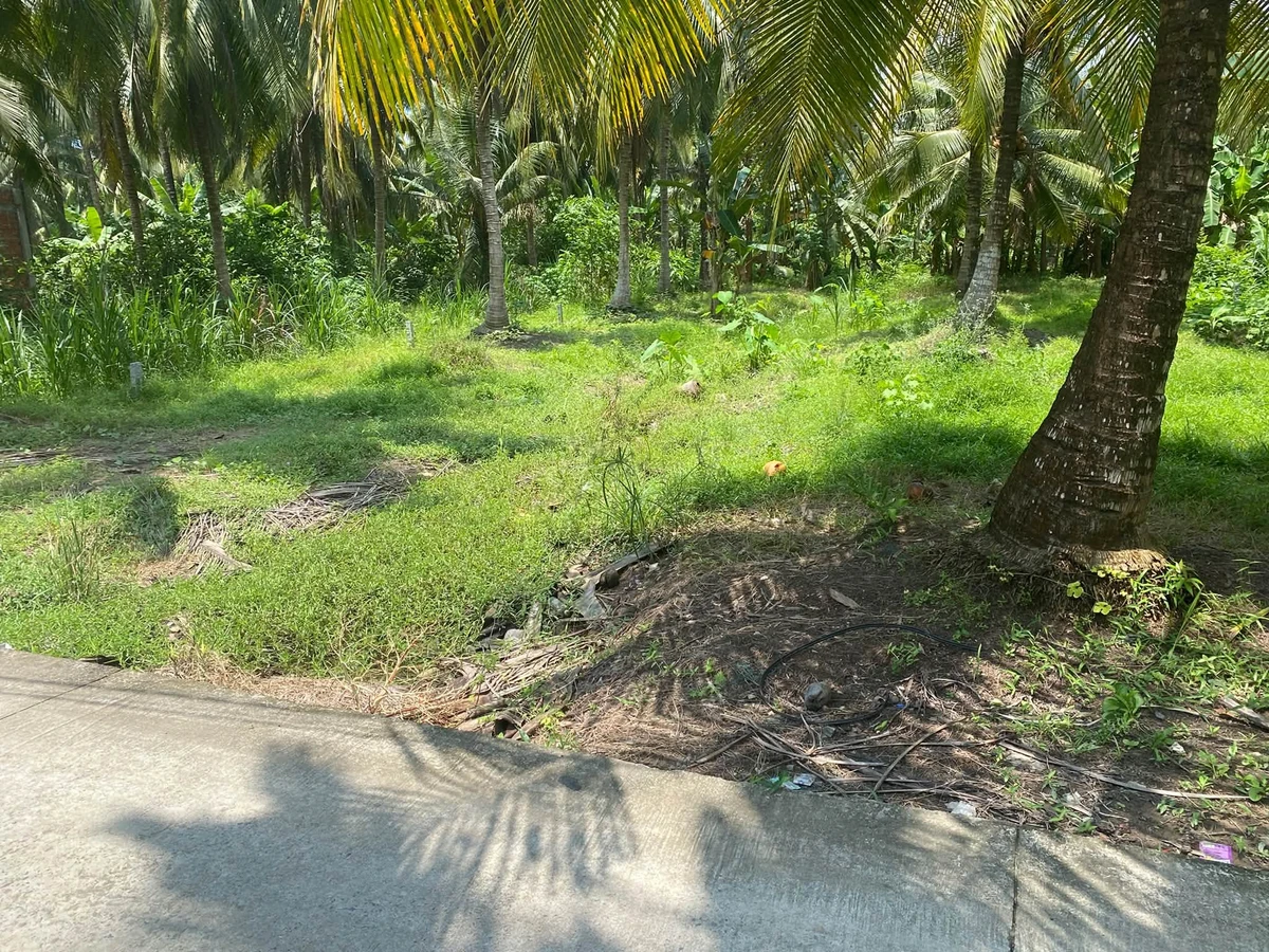 Bán đất nền 672m² mặt tiền Vĩnh Long - Ảnh thu nhỏ 2