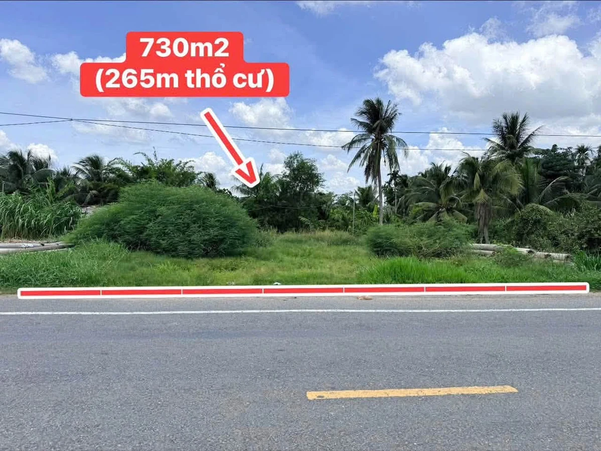 Bán đất mặt tiền HL173 730m2 Phú Tân, Cần Giờ 3.3 tỷ - Ảnh thu nhỏ 2