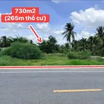 Bán đất mặt tiền HL173 730m2 Phú Tân, Cần Giờ 3.3 tỷ - Ảnh thu nhỏ 2