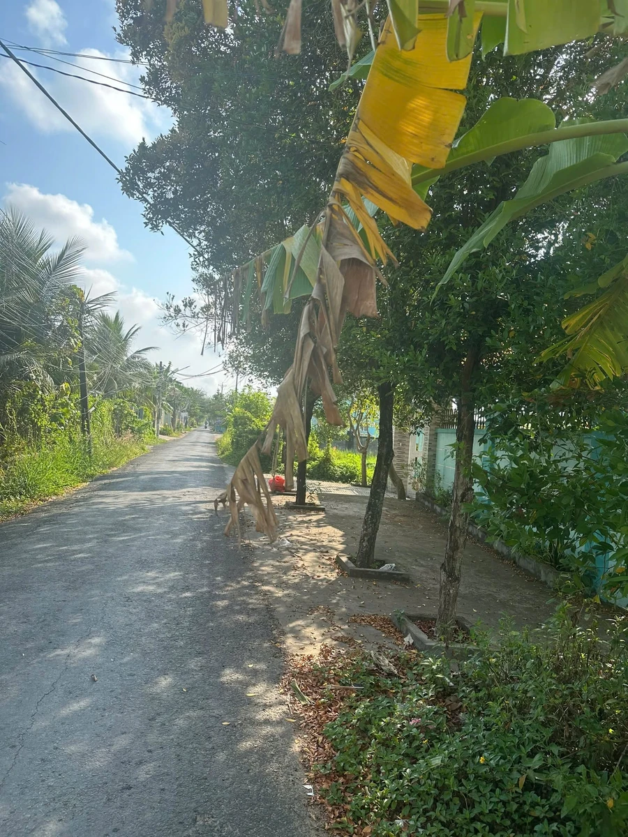 Bán đất mặt tiền Thống Nhất 300m² sổ riêng - Ảnh thu nhỏ 4