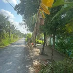 Bán đất mặt tiền Thống Nhất 300m² sổ riêng - Ảnh thu nhỏ 4