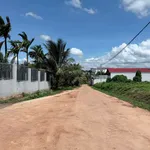 Bán nhà vườn hẻm 520m² đường 19/5 giá 2.2 tỷ - Ảnh thu nhỏ 2