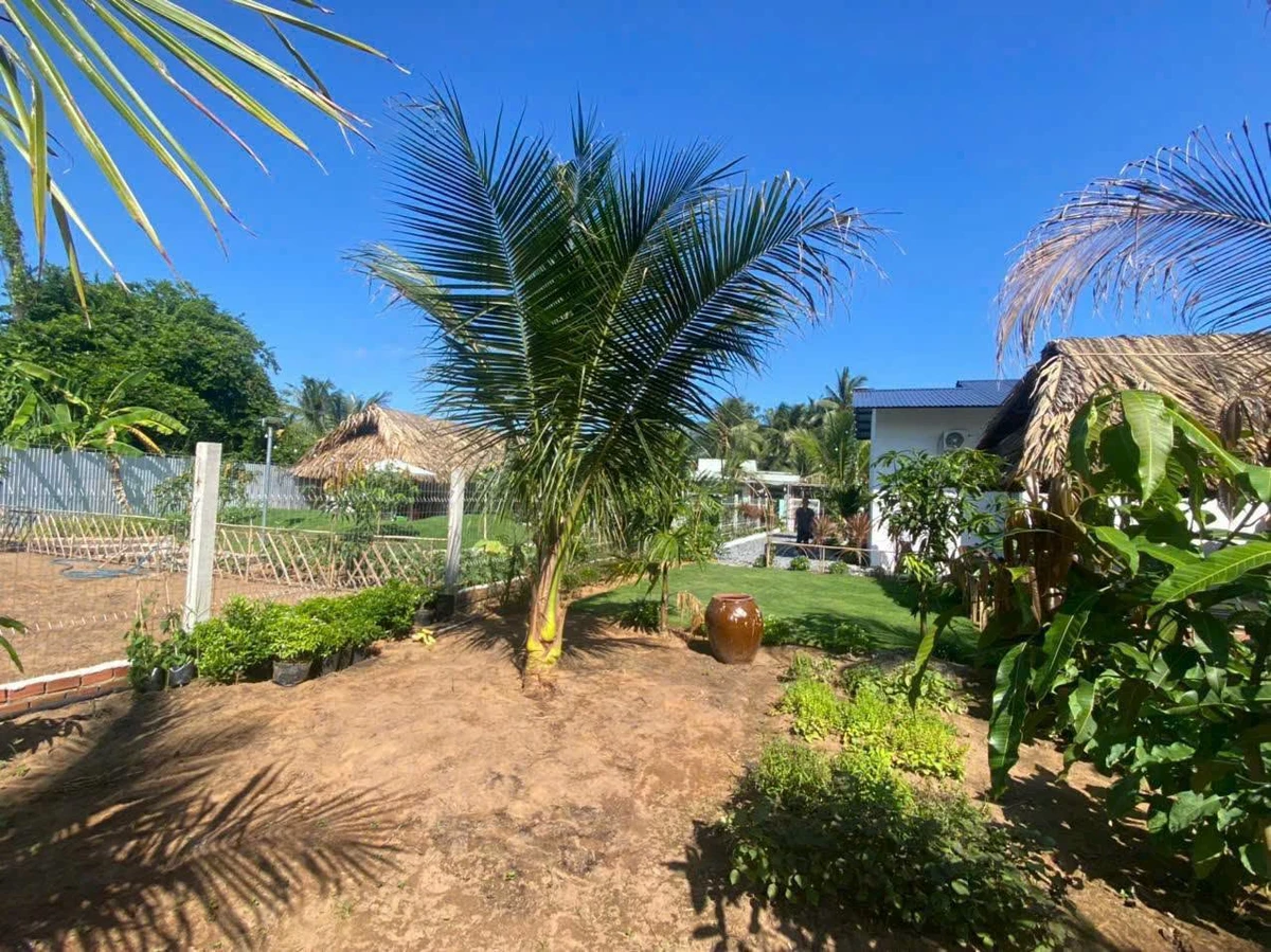 Bán khu nghỉ dưỡng 580m² hồ bơi gần KCN Giao Long - Ảnh thu nhỏ 2