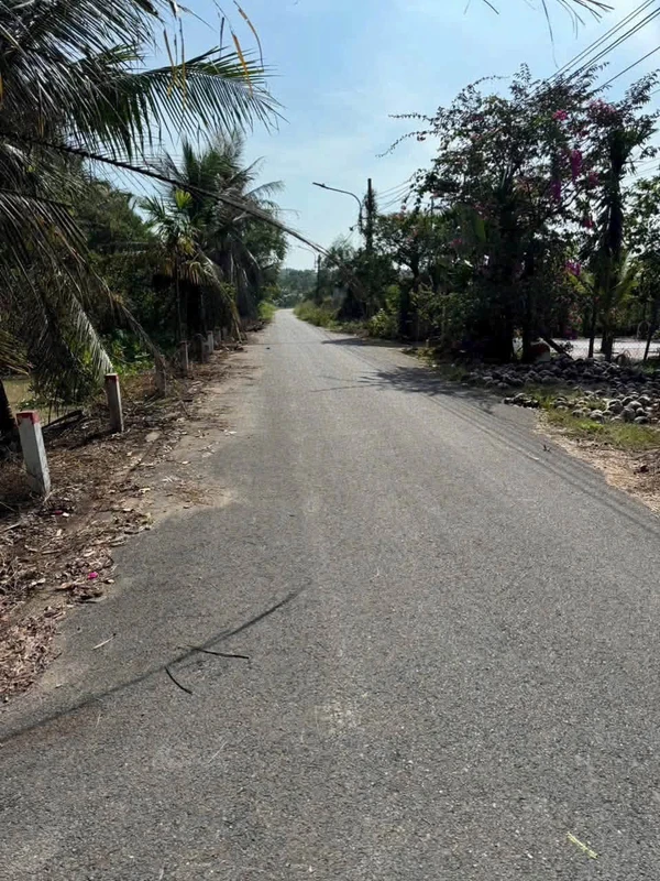 Bán nhà vườn gỗ 1400m2 An Điền, Bến Cát, giáp sông Thị Tính, giá 5 tỷ