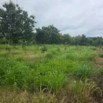 Bán đất 1.9ha, view suối tại Thiện Hưng, Đồng Nai - Ảnh thu nhỏ 4