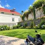 Bán đất nền Phan Chu Trinh Đà Lạt 79,5 m² giá 3,8 tỷ - Ảnh thu nhỏ 2