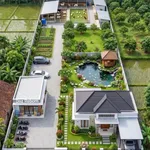 Bán 2.000m2 đất mặt tiền đường xe tải, có 412m2 thổ cư tại Long Hòa, Cần Đước - Ảnh thu nhỏ 1