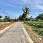 Bán đất mặt tiền Lộ Cù Là 1,6 tỷ, 1.455 m² - Ảnh thu nhỏ 5