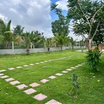 Nhà vườn view sông 1052m² 2 phòng ngủ Thạnh Lợi Tây Ninh - Ảnh thu nhỏ 4