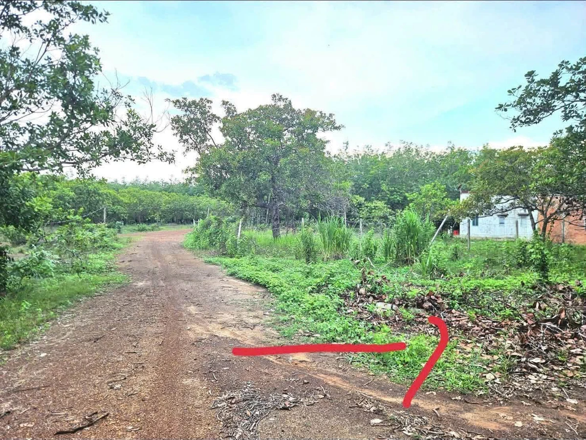 Bán đất nền 1.000m² Hớn Quản, Nhà Bè giá 100 triệu - Ảnh thu nhỏ 2