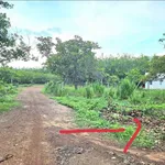 Bán đất nền 1.000m² Hớn Quản, Nhà Bè giá 100 triệu - Ảnh thu nhỏ 2