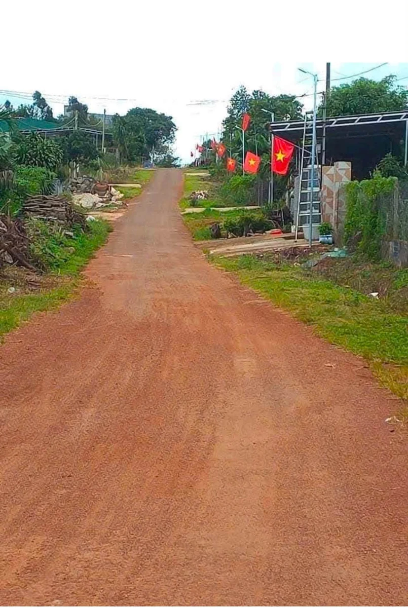 Bán lô đất 15.000m² Đắk Nông giá 1 tỷ 350 triệu - Ảnh 1