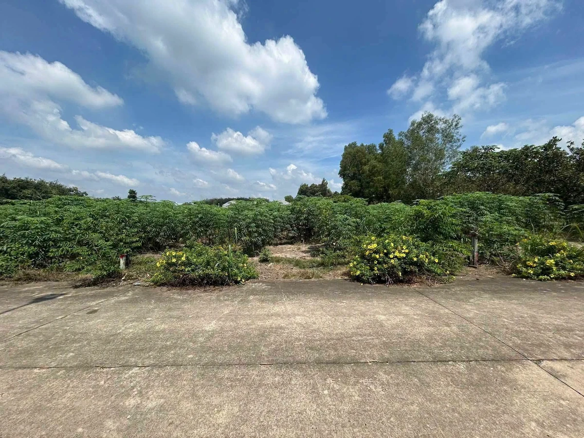 Bán đất Phú Giáo, Bình Dương 580.8m² - Ảnh thu nhỏ 2