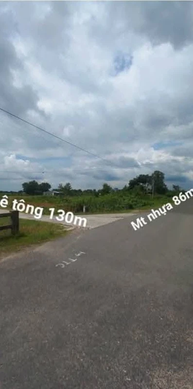 Bán đất Hàm Thuận Bắc 8400m2 giá 4 tỷ