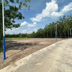 Bán đất 4.700m2 view suối làm nhà vườn tại Bình Dương - Ảnh thu nhỏ 4
