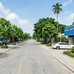 Bán đất kinh doanh 120m2 đường Nguyễn Gia Thiều, Bình Tân, 7 tỷ - Ảnh thu nhỏ 3