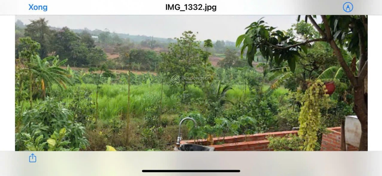 Cần bán khu nghỉ dưỡng tại xã Đá Bạc - Huyện Châu Đức (cũ) - Ảnh 1