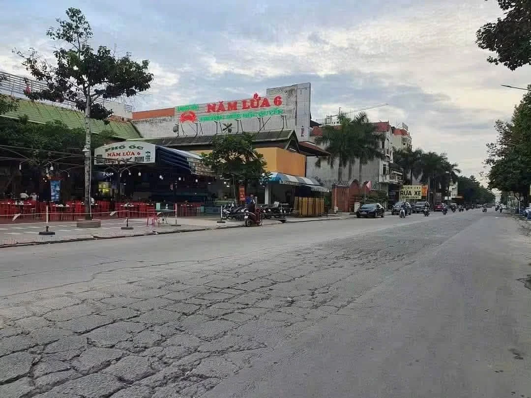 Bán đất Quận 12 314m² ngang 10m, 16,5 tỷ - Ảnh 1