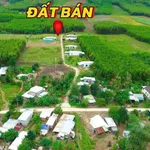 Bán đất thổ cư 720m² Xã Khánh Hiệp Nha Trang 560 triệu - Ảnh thu nhỏ 1