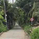 Bán đất Bến Tre 302m2 tại Phương Phú Tân 690 triệu - Ảnh thu nhỏ 2