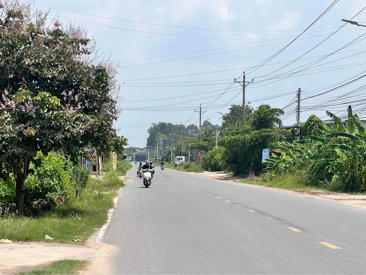Bán đất vườn 3363m2 Phường Gò Dầu Tây Ninh - Ảnh thu nhỏ 5