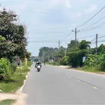 Bán đất vườn 3363m2 Phường Gò Dầu Tây Ninh - Ảnh thu nhỏ 5
