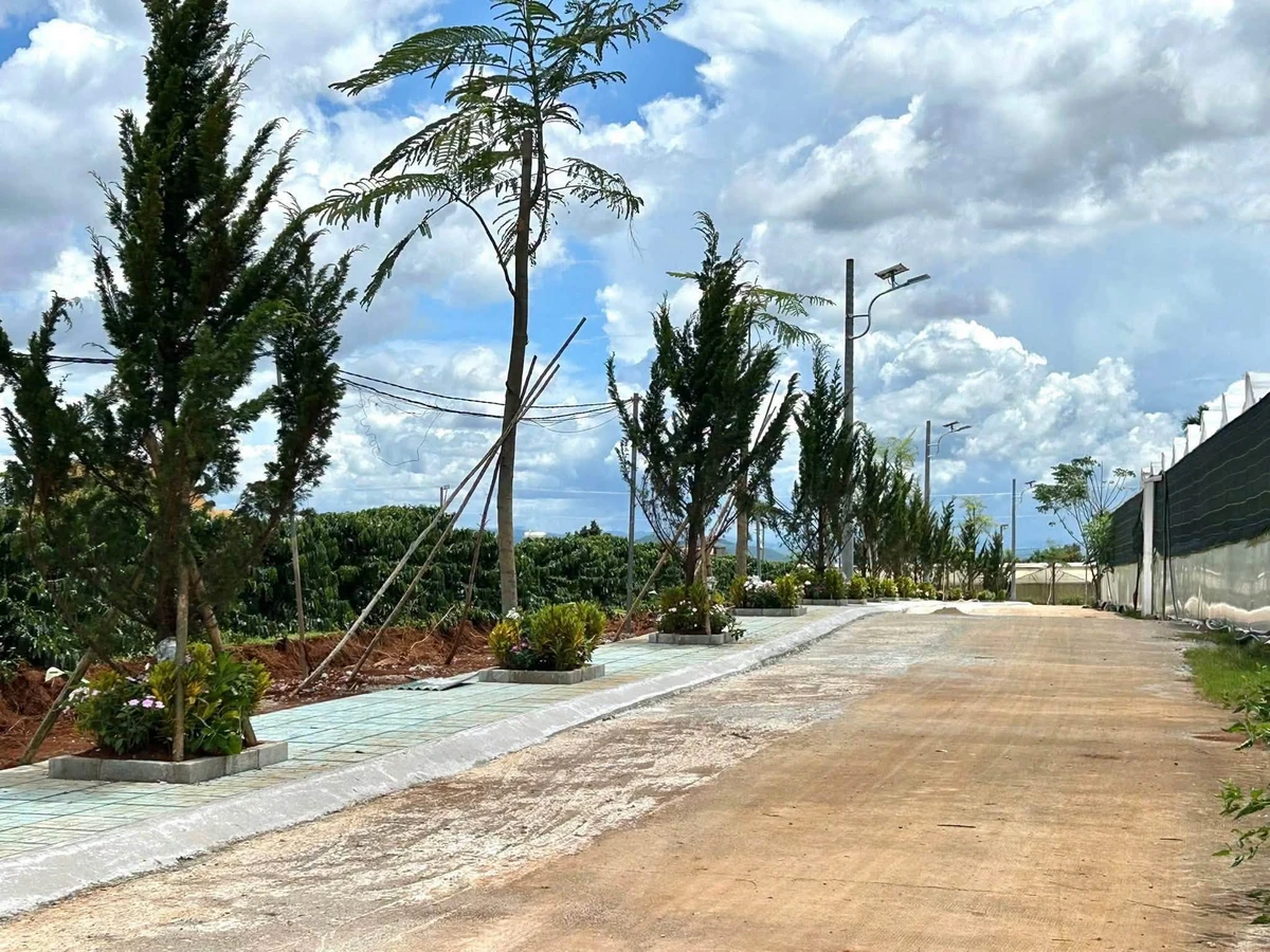 Bán đất thổ cư 100m² từ 570 triệu Tân Hà Lâm Đồng - Ảnh 1