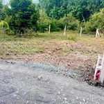 Bán đất Tây Ninh 67,5m² Long Hoa 240 triệu - Ảnh thu nhỏ 1
