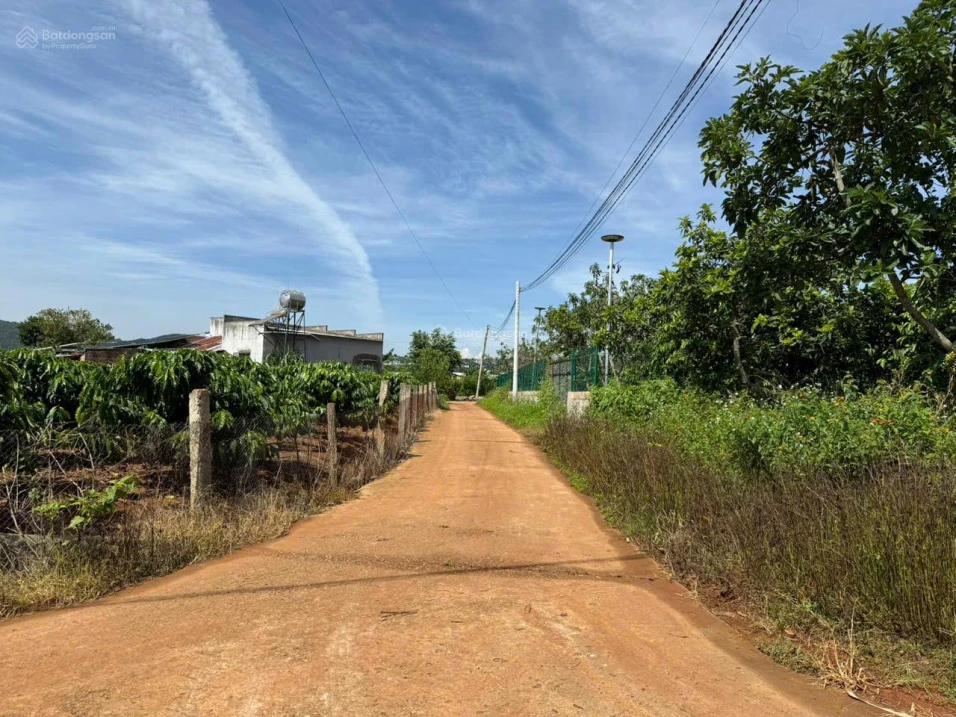 Lô đất sau chợ Thăng Long gần hồ Bãi Công 335m2 chỉ 1.2 tỷ - Ảnh thu nhỏ 3