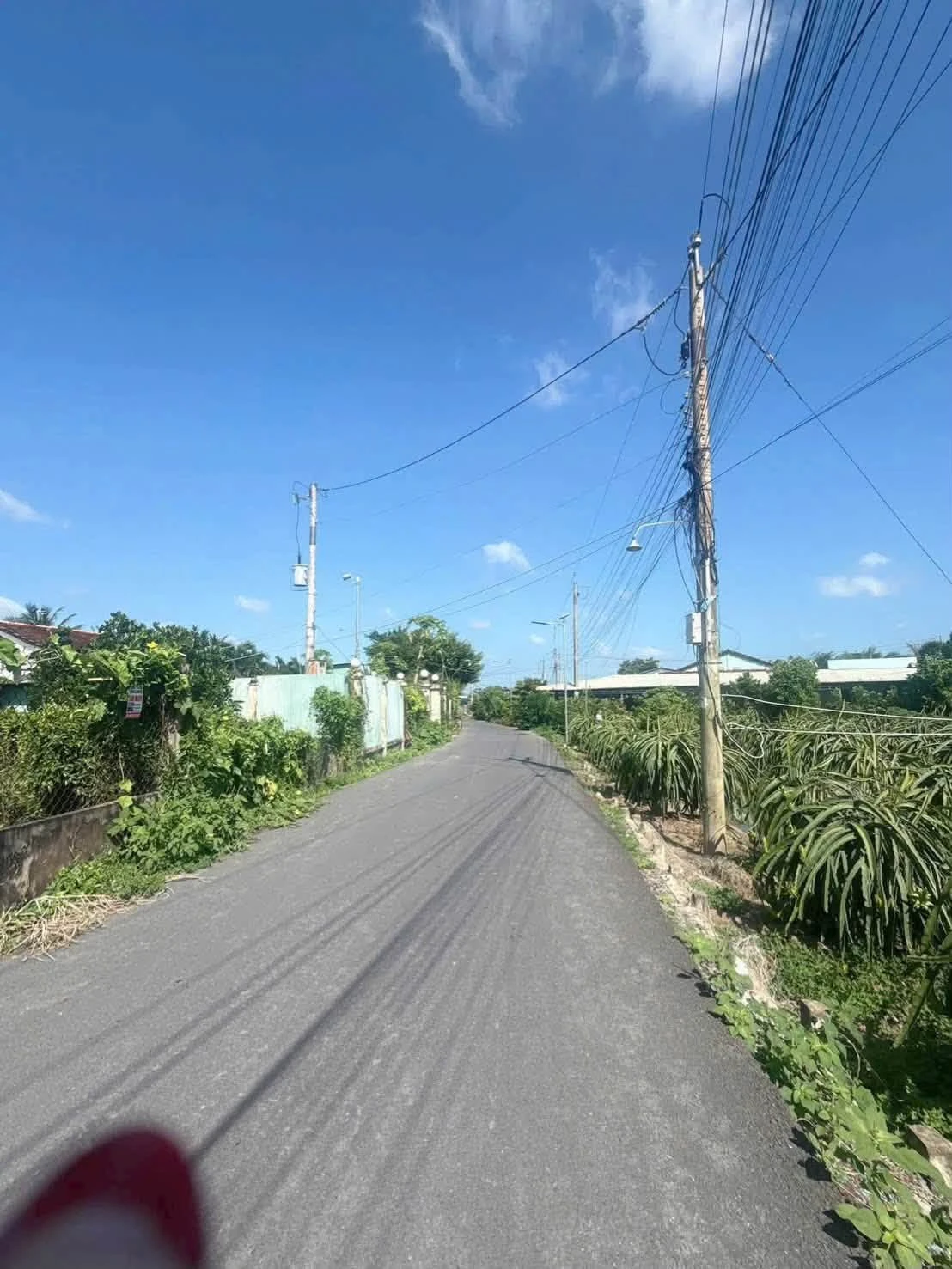 Bán quỹ đất 2.000m² full thổ cư mặt tiền Tây Ninh - Ảnh 1