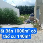 Bán 1000m² đất Dương Minh Châu Tây Ninh - Ảnh thu nhỏ 2