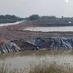 Bán đất 8500m² tại Ba Tri, Bến Tre giá 1 tỷ 20 triệu - Ảnh thu nhỏ 4