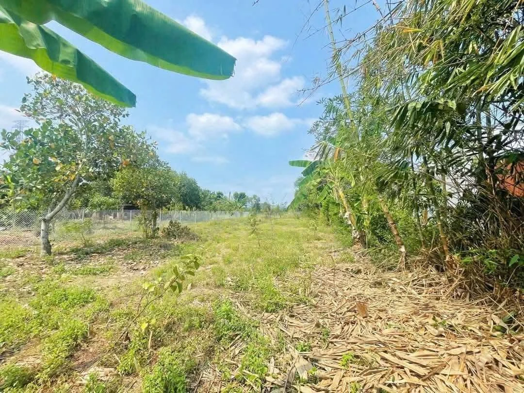 Bán đất view ruộng 500m² giá 750 triệu Long Khánh - Ảnh thu nhỏ 2