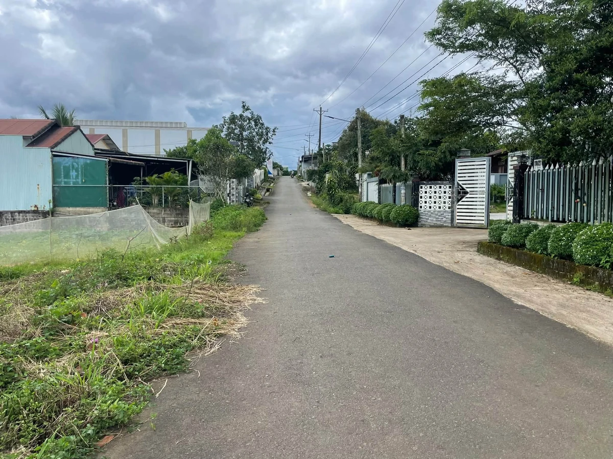Bán đất 1.000m² nở hậu, có 225m² thổ cư, hẻm Lê Phụng Hiểu, Bảo Lộc - Ảnh thu nhỏ 4