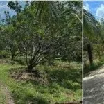 Bán 2 công đất mặt tiền sông Ba Lai, Vĩnh Long, 1,6 tỷ - Ảnh thu nhỏ 1
