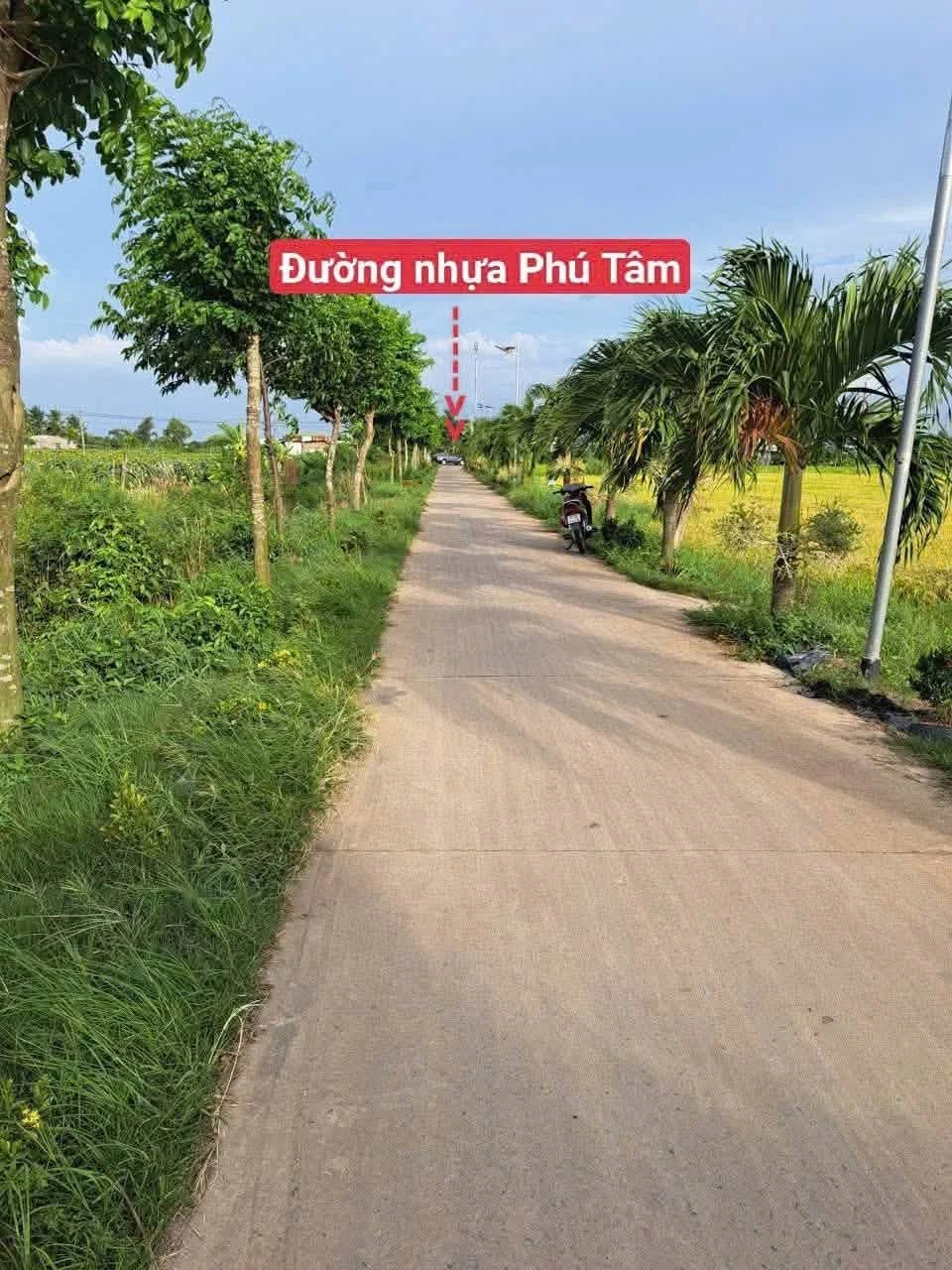 Bán đất 67.5 m² giá 240 triệu Long Hoa, Tây Ninh dt836 - Ảnh 1